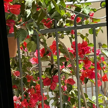 L'angolo Sulla Piazza